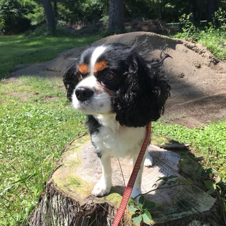 7f5674df 212f 4942 8c17 8b8c02ff1df5