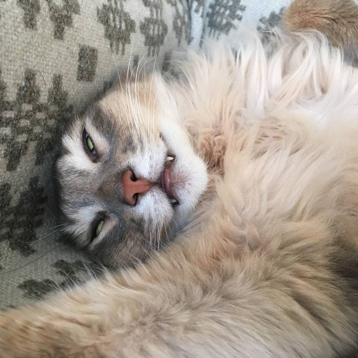 7f569961 1d2c 4039 a579 7a97dcb1a285