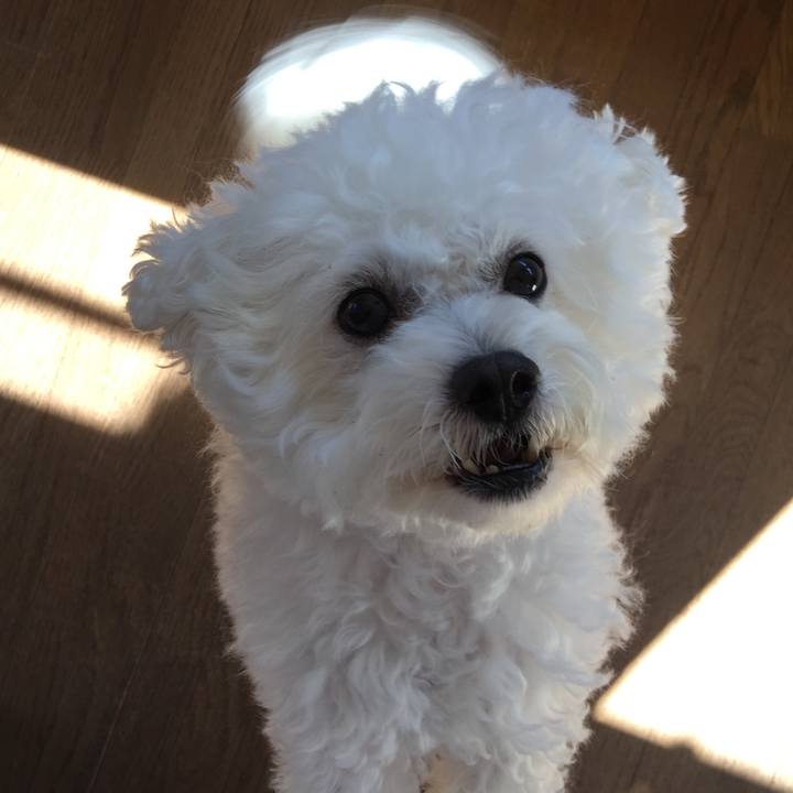 7f56cecb f58d 466f 9d65 0fc923792fed