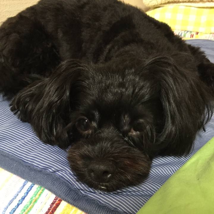 7f578959 934b 44a9 8a97 7ea01b2299a4