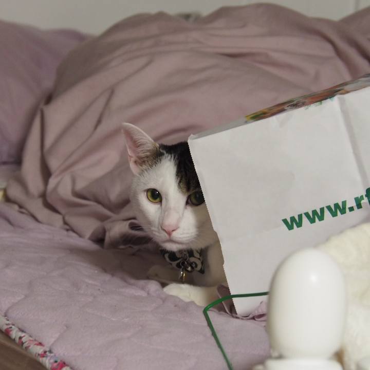 7f57c0fc 1d3f 4c5d b3c4 f5bdecf9b34d