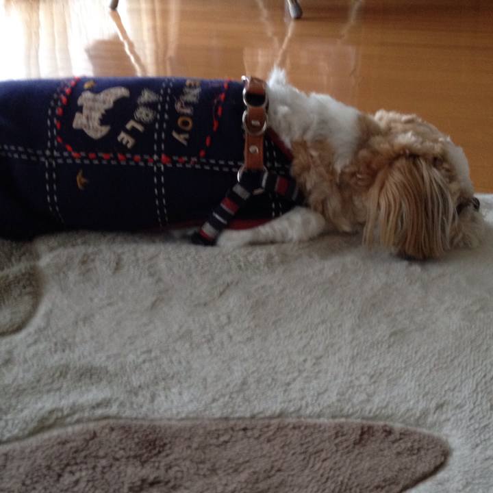 7f583355 117d 488c 8e2d 582e81b30d73