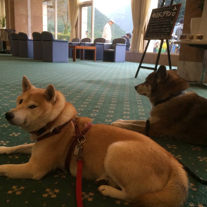 7f590354 911e 4722 876f e017ea5175ff