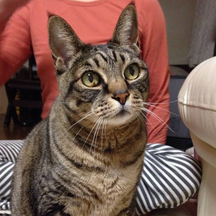 7f590f22 e89c 412b bc5e bf839cc92276