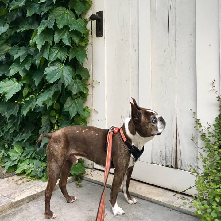 7f5946e8 39e0 4262 bdd8 8fd3c0bf4a81