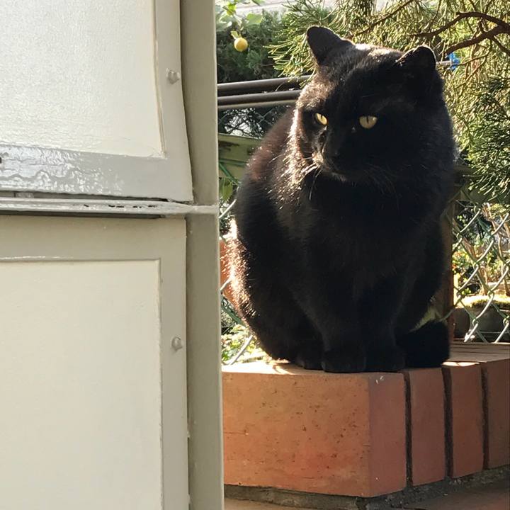 7f596ce5 be9f 4ed3 a2ba 5cff7ef59adc