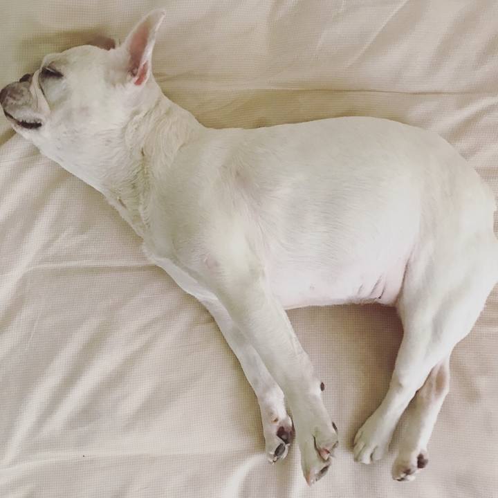 7f598cdf 0d29 4dba b471 eacfef282ee9