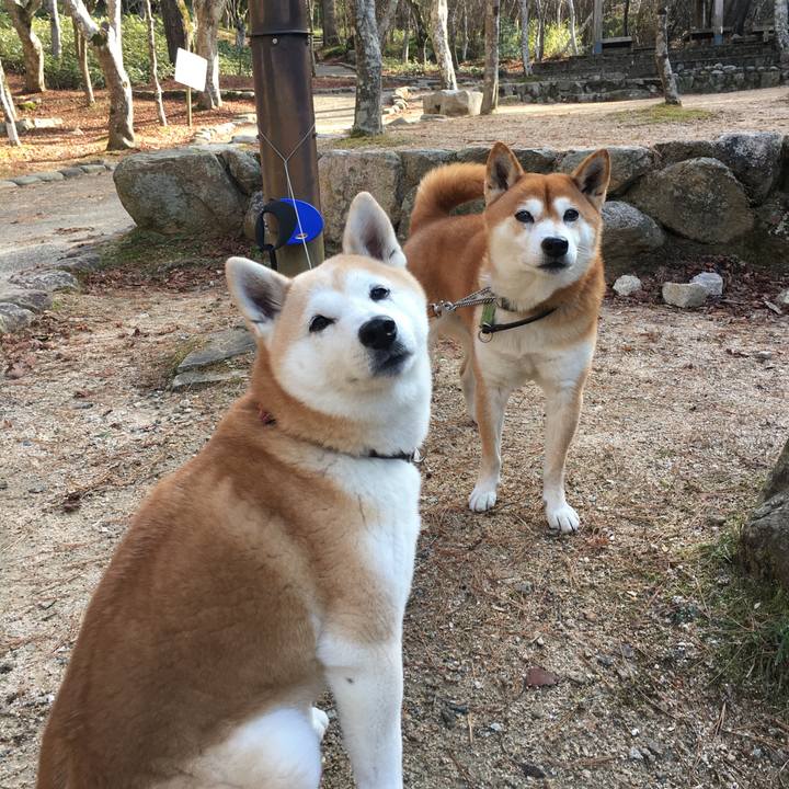 7f598e80 414d 4061 9a11 a0a92623c70e