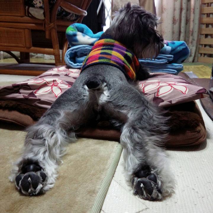 7f59968e 290d 480a afb6 1ef1a0c2514b