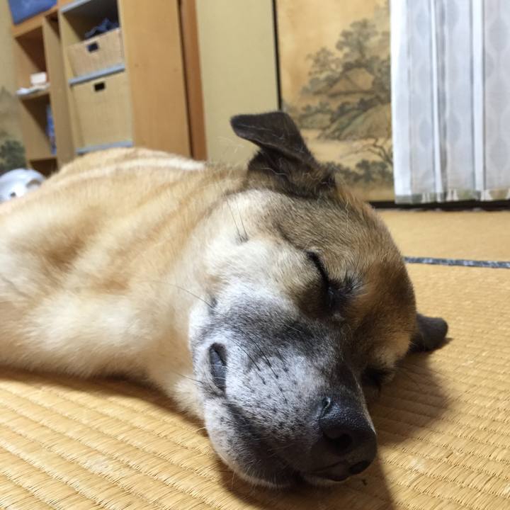 7f5a578a fb5c 4b70 a88b 97ac8288bb3c