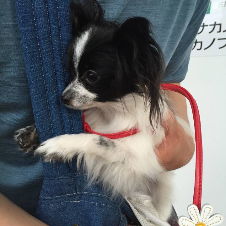 7f5a79f7 8e47 4ee5 b732 50c5589050f5