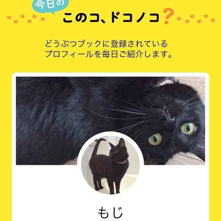 7f5a7af7 3ec2 4b5a 88db 58f20a448791