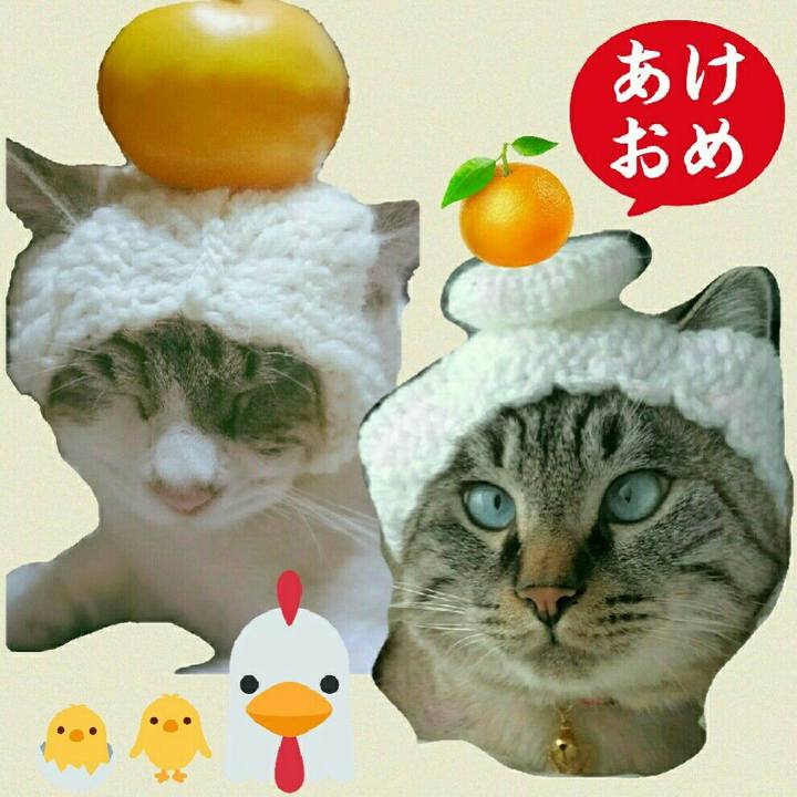 7f5a88b8 64c4 4d7f bb6b efcdb782182d