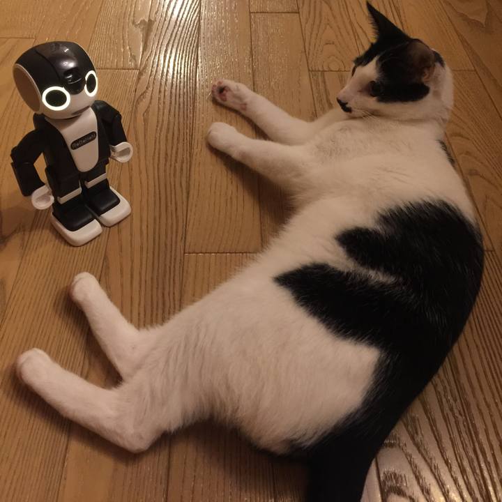 7f5b2624 5eaa 44d2 89c8 26fa13c5f2aa