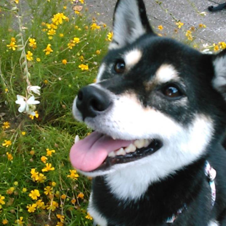 7f5b8c5f 77ea 4b99 846a b73876d1bc16