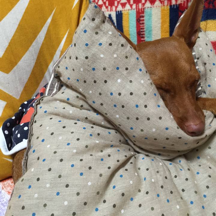 7f5b9dfa 16e6 48cc 9e74 235f4f6147ed