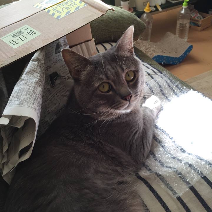 7f5c39b4 06a3 4a84 8fb0 de67f61b30e1