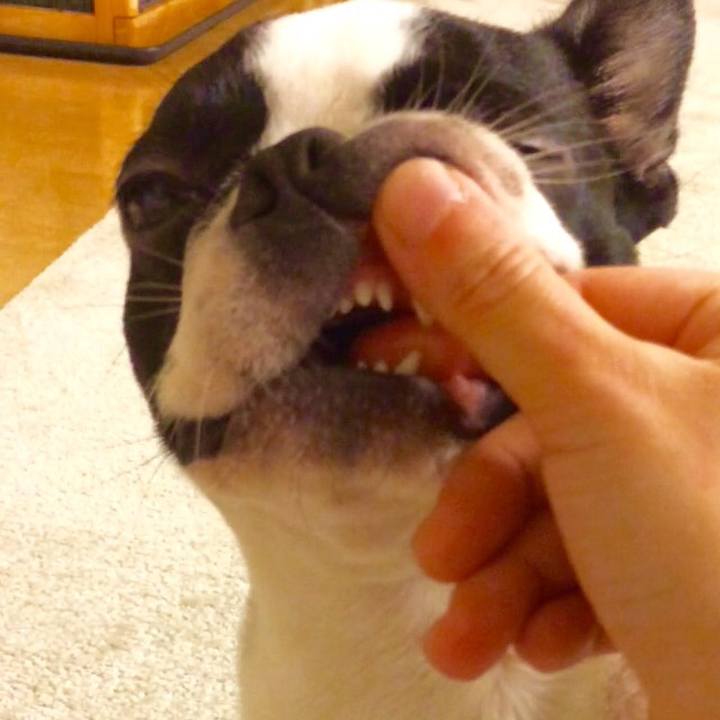 7f5c4029 083a 479d 8e2a f432eec9548a