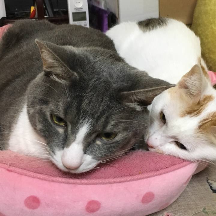 7f5cd01f 2f61 4e43 bdde 27def5c3e6b0