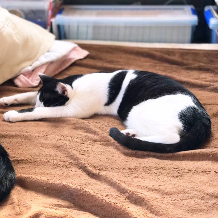 7f5cf175 47a5 4d7d b76f dfb07706aa61