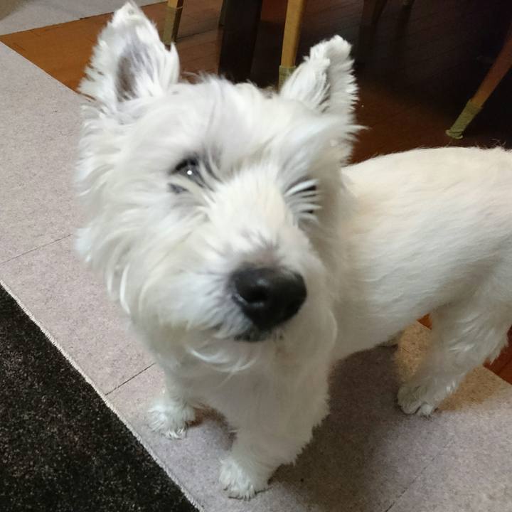 7f5d2396 492e 4d85 bd1c e15e3d054156