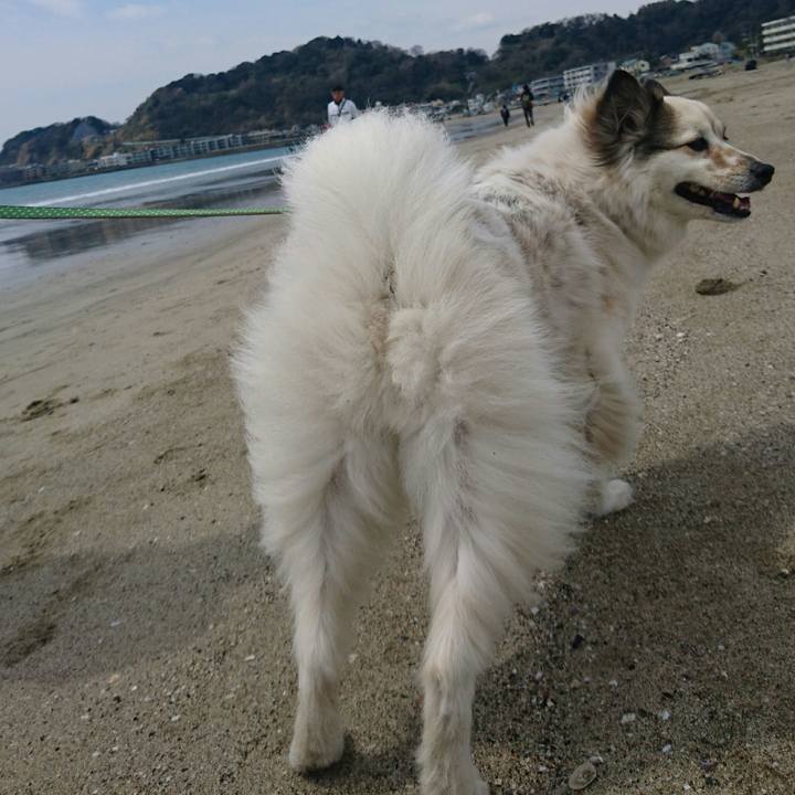 7f5de515 5e94 4b4d a164 db1e3e3387c3