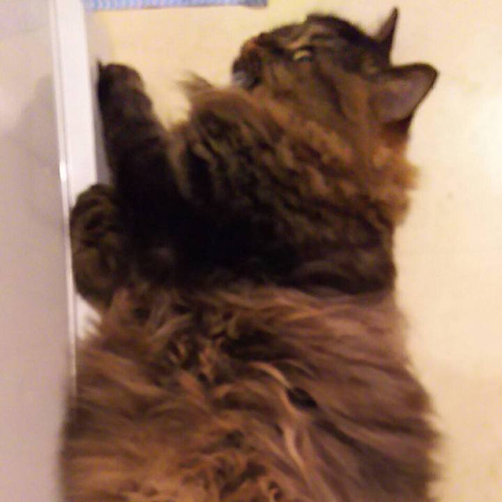 7f5e4a97 8597 47a7 b373 6d7b8ba50ef5