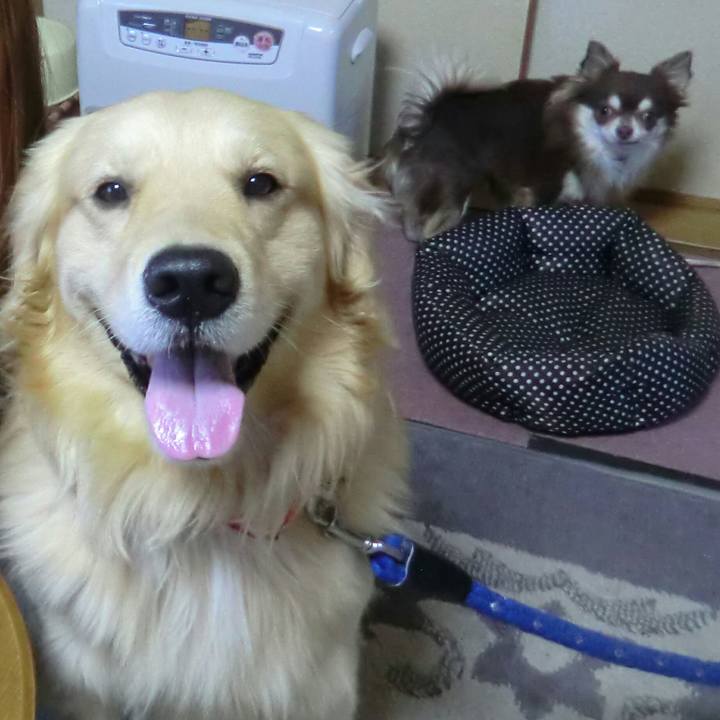 7f5e4ed5 9a57 4a9c 8692 d91670b6c701