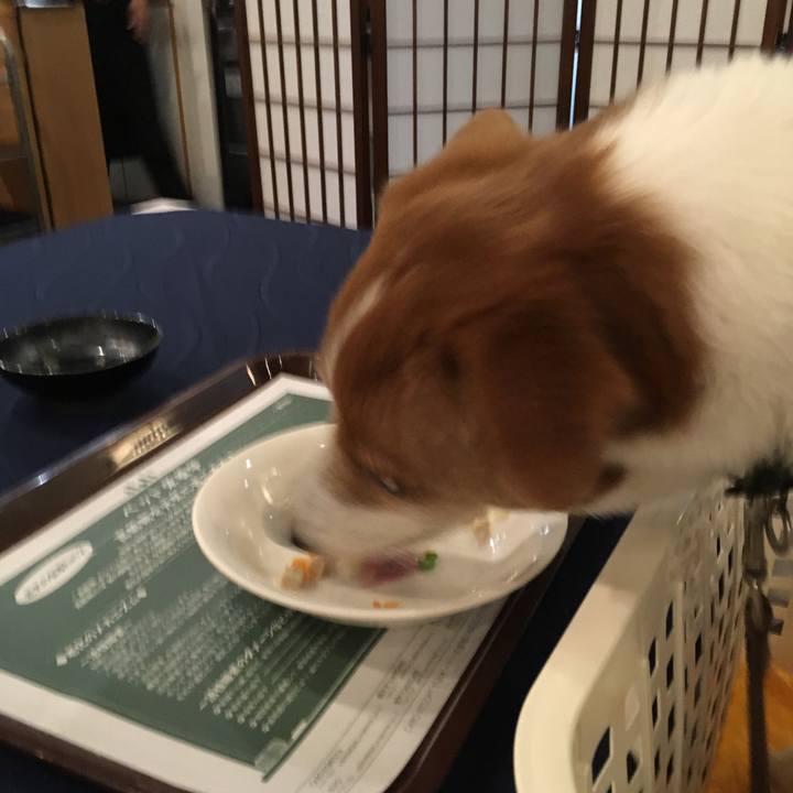 7f5e5292 fffd 46cd 9bee b0b4f3673206