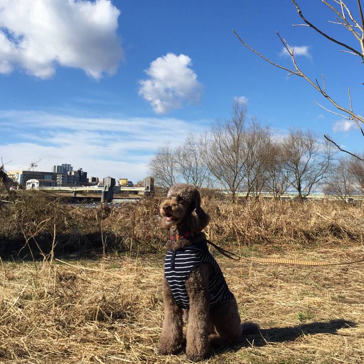 7f5e8db6 6f7a 482a 8a5d 717847d8d342