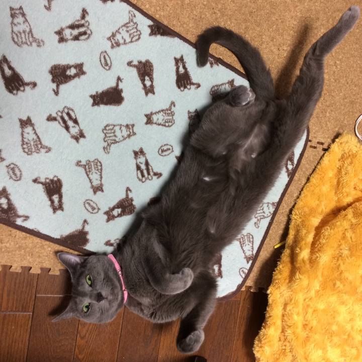 7f5f465e d754 4fae 80e9 b72e0210e1c0