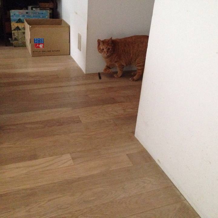 7f5f92d8 7695 449e a59e 6b059db58583