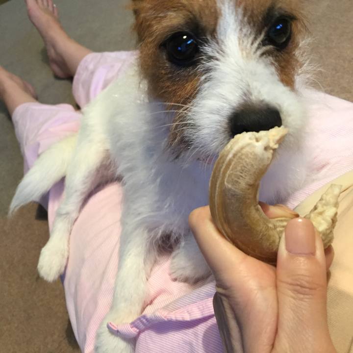 7f6012dc 4162 4a91 96b3 ec8d0c29f6d7