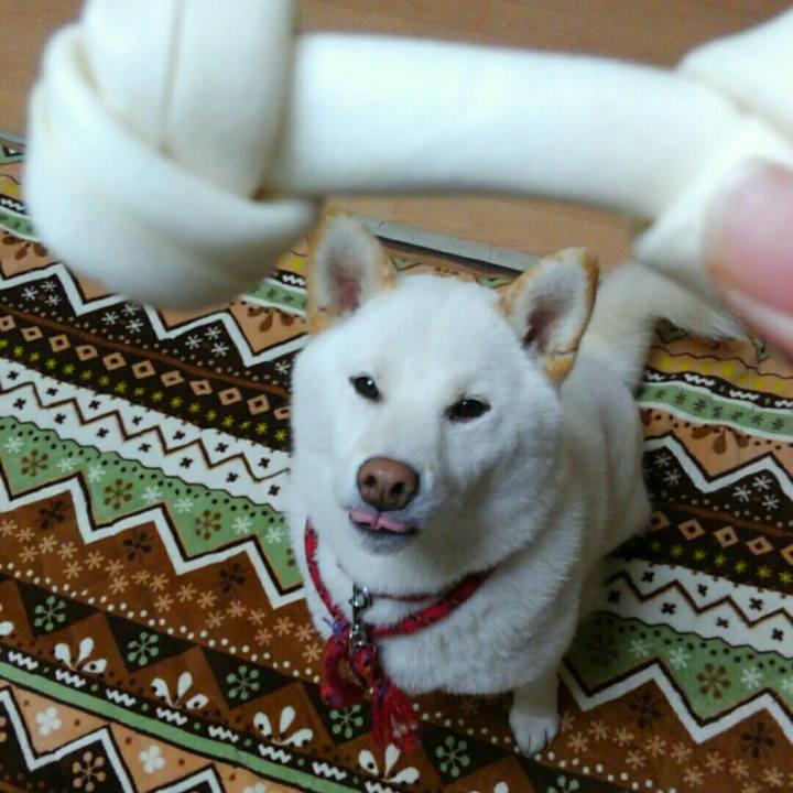 7f607bb3 13bb 4b46 9d4b c7bb106b514a