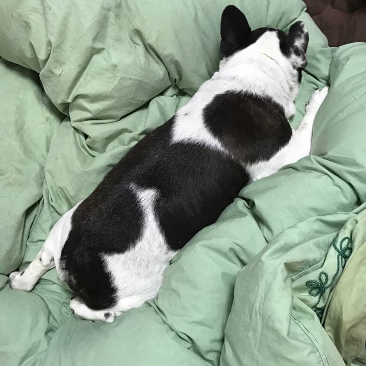 7f60c95d 240a 46d4 9112 a88997b68ef6