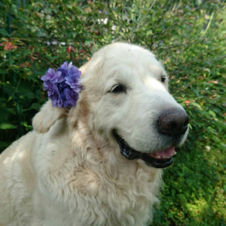 7f614759 fda4 4bf5 b32f 7e0ef6610f2e