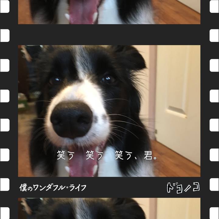 7f6159b5 bed0 4587 8f6a c1655b344f06