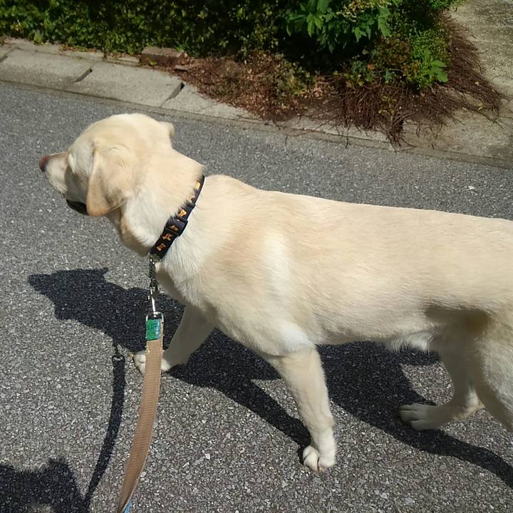 7f62328e 3b9c 412f be5b c9034b151d72