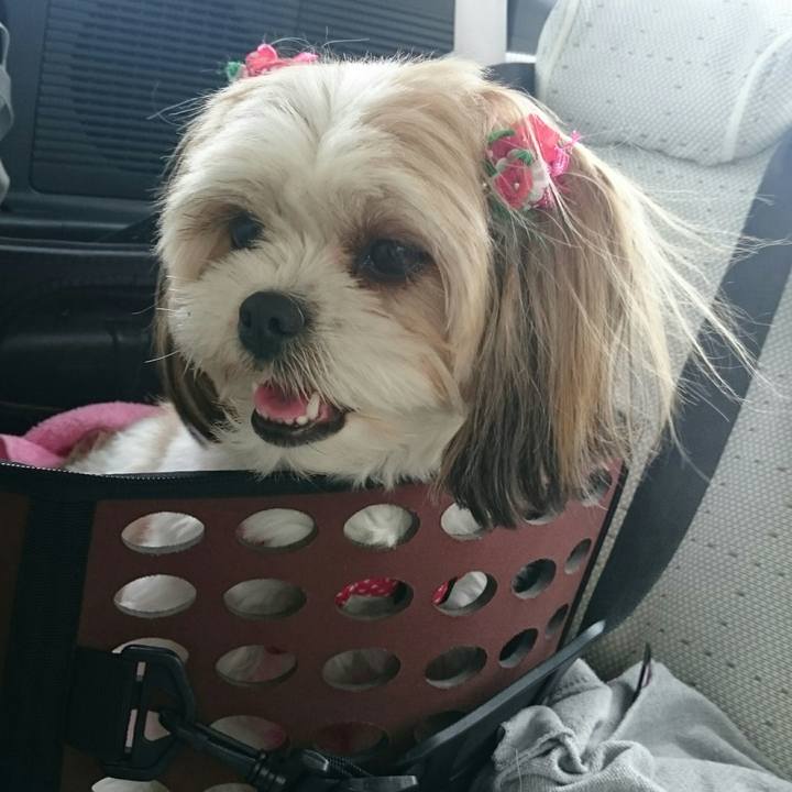 7f646dbf 82a0 4ebc bde8 19d3b7ba0c93