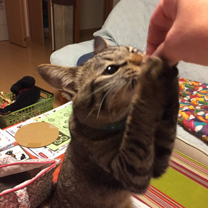 7f649a3d d75d 4abe a6a2 89ef908bbad4