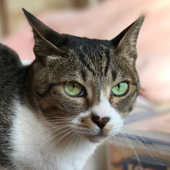 7f655639 4ad4 4c4f 83aa 59273fb96240