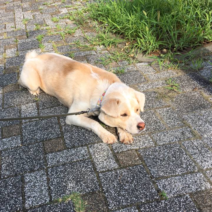 7f65bf5f cdb0 49c9 aaa3 08c5b37c3428