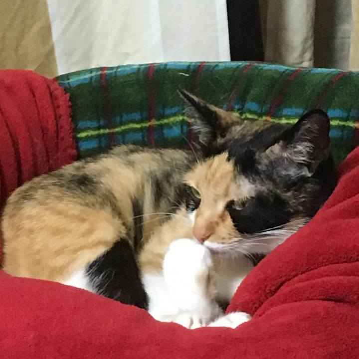 7f65f0f9 8e07 460f afc5 4a61a7f7a0dd