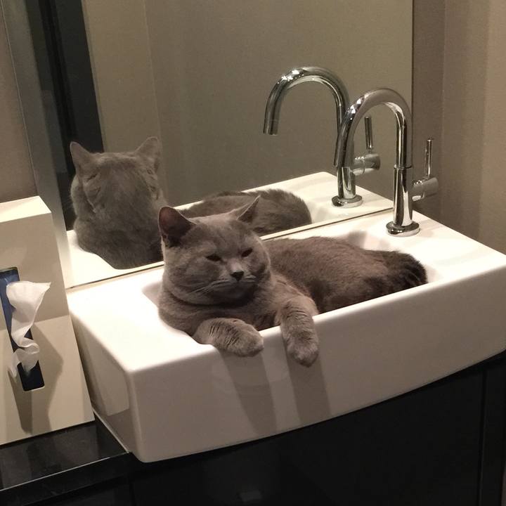 7f665f2d faf2 437e b44e e67fb2cfa216