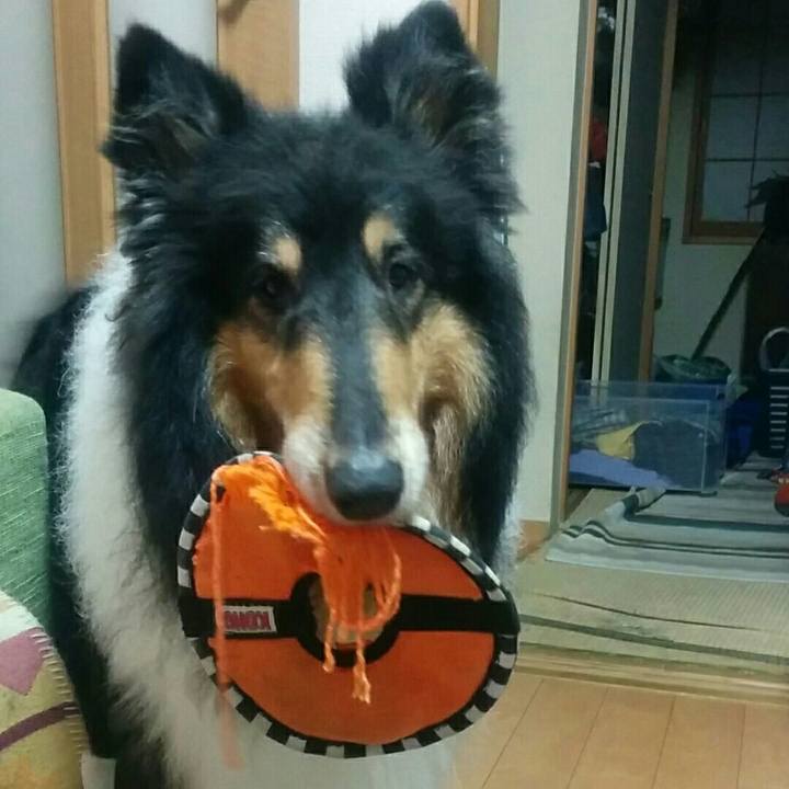 7f67000a 4812 457f 8be8 ab9a3074abfb