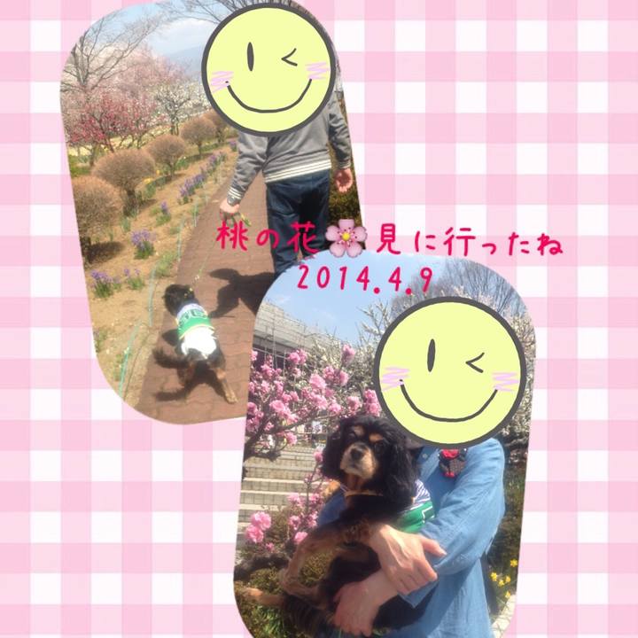 7f67a77f 51ec 4b45 a052 8d2f9534d43f