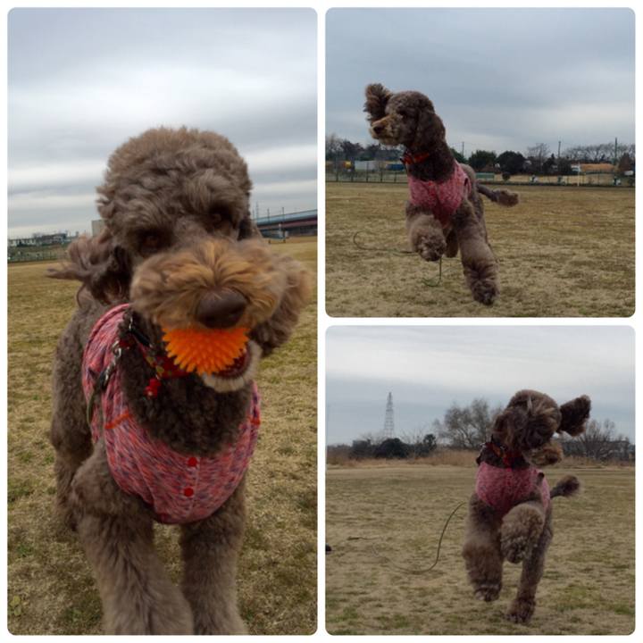 7f681245 3ae0 4b39 b29b 92ef6e397399