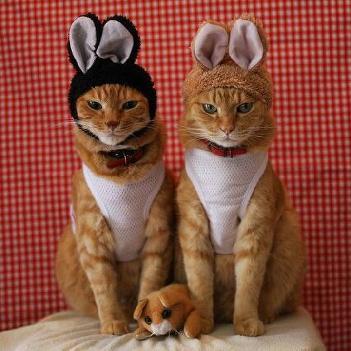 7f689b12 8e53 47f2 b270 33766b0f0d49