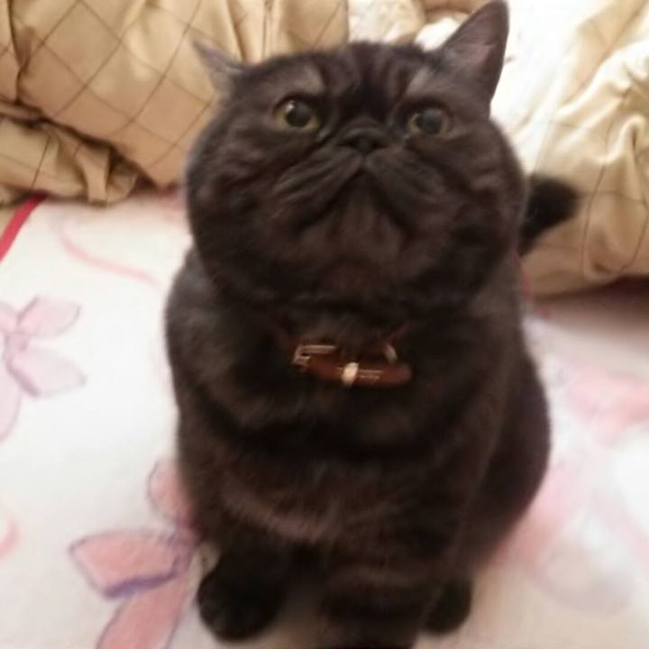 7f68e4d8 be53 48e2 8a96 4a09eb9deb4f