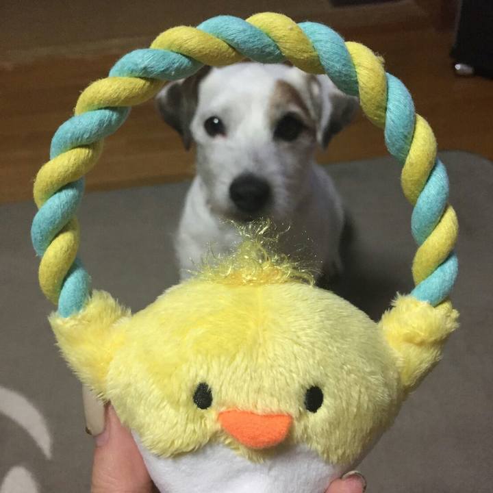 7f694598 bf5e 4d55 b6ad 6f8eaa17ef7e